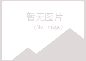 宁安紫山能源有限公司